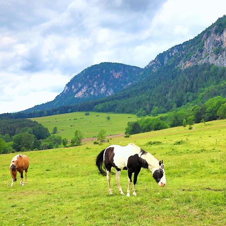 Glamping Hohe Wand - Zelt Mit Sternenfenster Und Whirlpool Hotel Maiersdorf Exterior foto